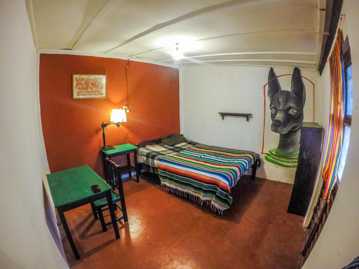 Hostel El Nagual San Cristóbal de Las Casas Extérieur photo
